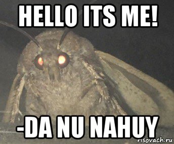 hello its me! -da nu nahuy, Мем Матылёк