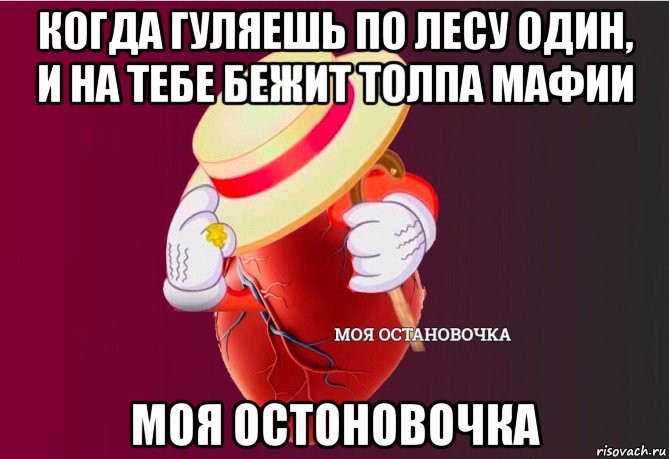 когда гуляешь по лесу один, и на тебе бежит толпа мафии моя остоновочка, Мем   Моя остановочка