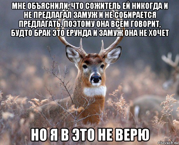 мне объяснили, что сожитель ей никогда и не предлагал замуж и не собирается предлагать, поэтому она всем говорит, будто брак это ерунда и замуж она не хочет но я в это не верю, Мем   Наивный олень