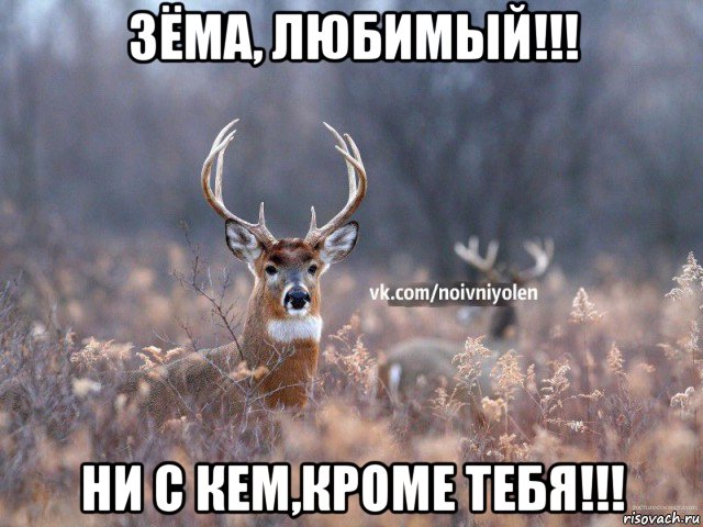 зёма, любимый!!! ни с кем,кроме тебя!!!, Мем Наивный Олень vk