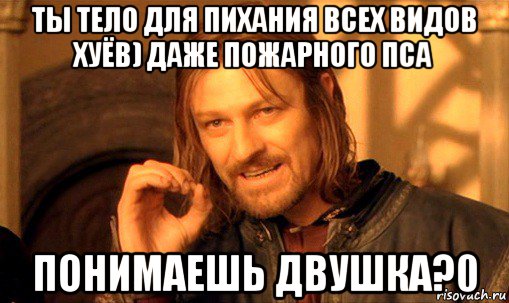 ты тело для пихания всех видов хуёв) даже пожарного пса понимаешь двушка?0, Мем Нельзя просто так взять и (Боромир мем)