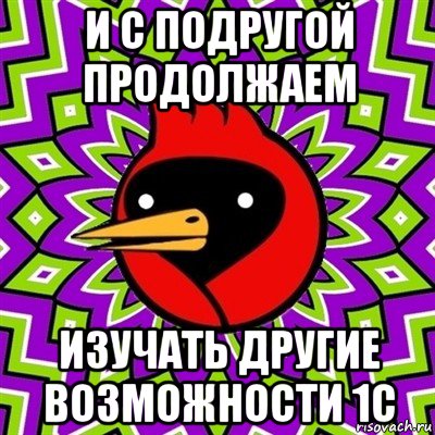 и с подругой продолжаем изучать другие возможности 1с, Мем Омская птица