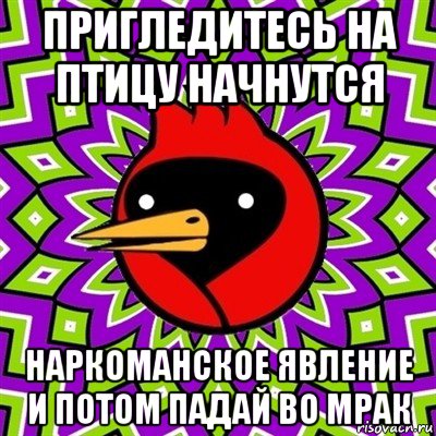 пригледитесь на птицу начнутся наркоманское явление и потом падай во мрак, Мем Омская птица