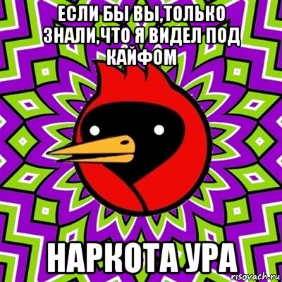 если бы вы,только знали,что я видел под кайфом наркота ура, Мем Омская птица