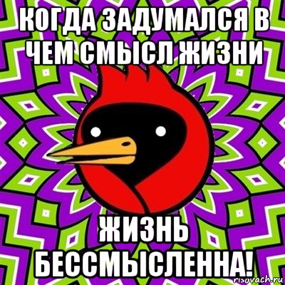 когда задумался в чем смысл жизни жизнь бессмысленна!, Мем Омская птица