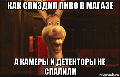 как спиздил пиво в магазе а камеры и детекторы не спалили, Мем Осел из Шрека