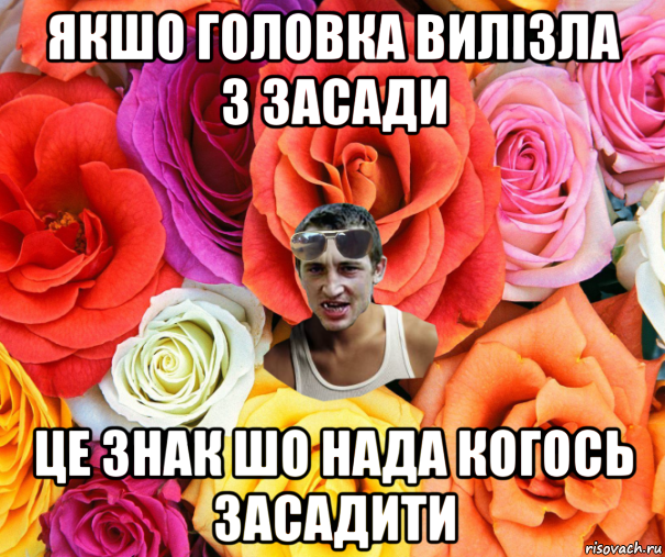 якшо головка вилізла з засади це знак шо нада когось засадити, Мем  пацанчо