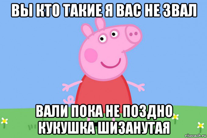 вы кто такие я вас не звал вали пока не поздно кукушка шизанутая, Мем Пеппа