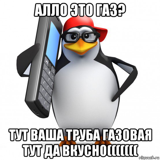 алло это газ? тут ваша труба газовая тут да вкусно(((((((, Мем   Пингвин звонит