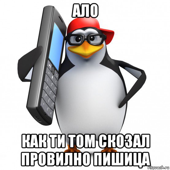 ало как ти том скозал провилно пишица, Мем   Пингвин звонит