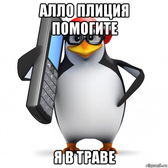 алло плиция помогите я в траве, Мем   Пингвин звонит