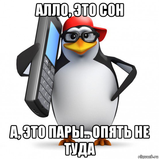 алло, это сон а, это пары.. опять не туда, Мем   Пингвин звонит