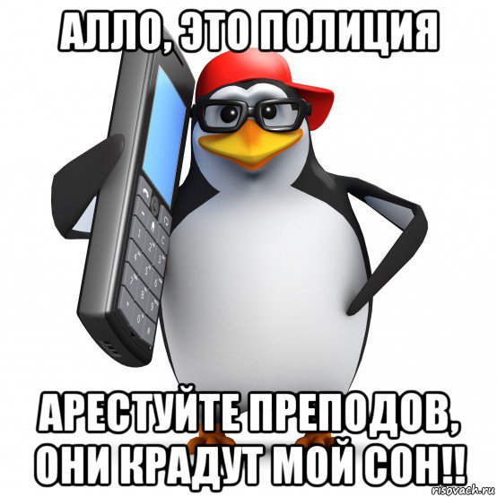 алло, это полиция арестуйте преподов, они крадут мой сон!!, Мем   Пингвин звонит