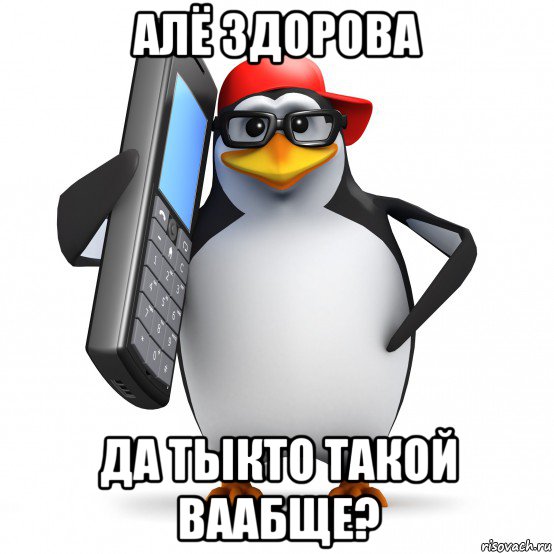 алё здорова да тыкто такой ваабще?, Мем   Пингвин звонит