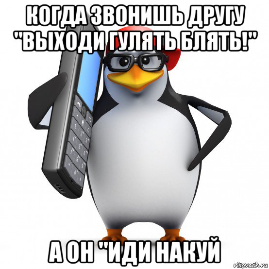 когда звонишь другу "выходи гулять блять!" а он "иди накуй, Мем   Пингвин звонит