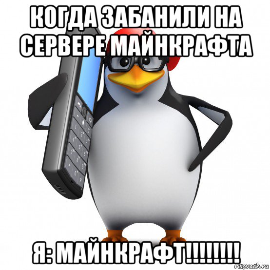 когда забанили на сервере майнкрафта я: майнкрафт!!!!!!!!, Мем   Пингвин звонит