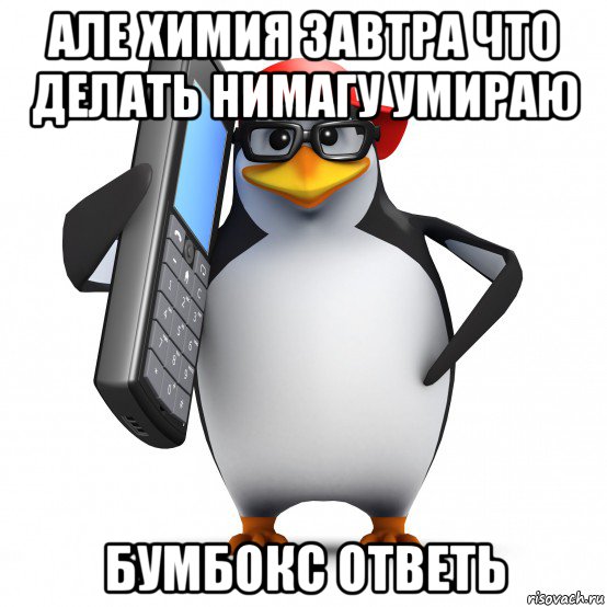 але химия завтра что делать нимагу умираю бумбокс ответь, Мем   Пингвин звонит