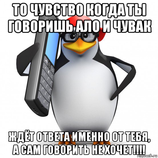 то чувство когда ты говоришь ало и чувак ждёт ответа именно от тебя, а сам говорить не хочет!!!!, Мем   Пингвин звонит