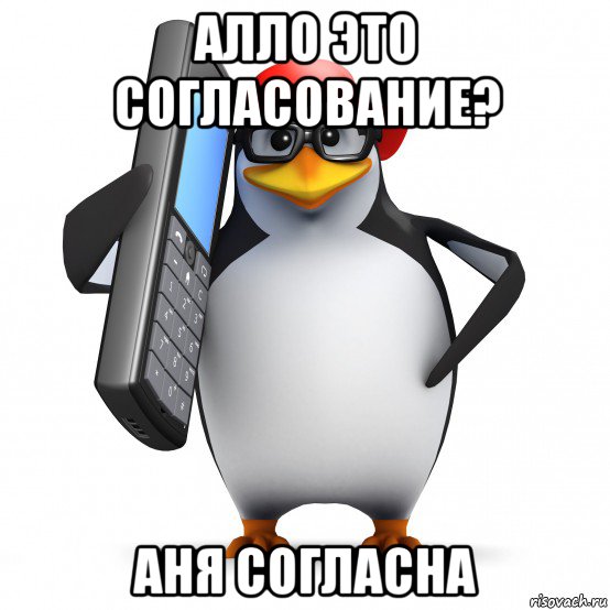 алло это согласование? аня согласна, Мем   Пингвин звонит