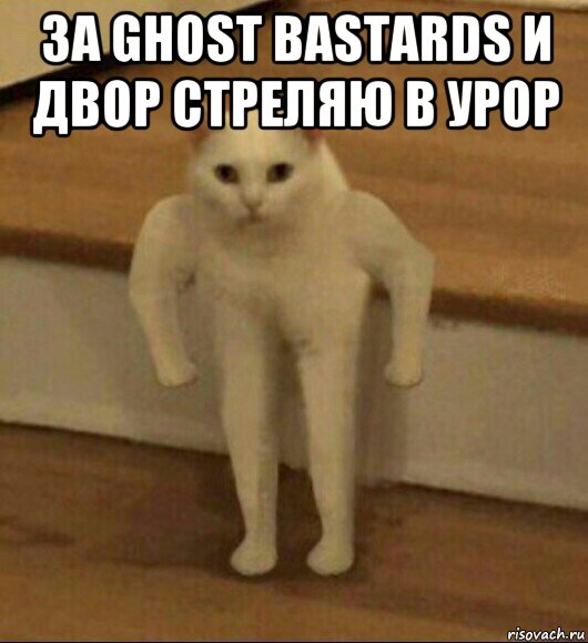 за ghost bastards и двор стреляю в урор , Мем  Полукот