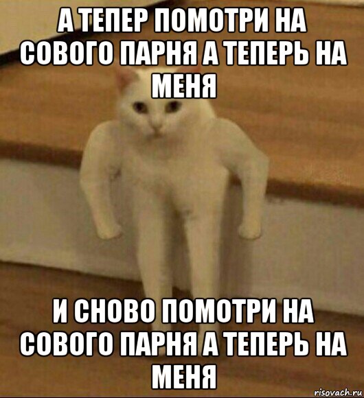 а тепер помотри на сового парня а теперь на меня и сново помотри на сового парня а теперь на меня, Мем  Полукот