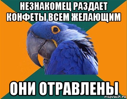 незнакомец раздает конфеты всем желающим они отравлены, Мем Попугай параноик