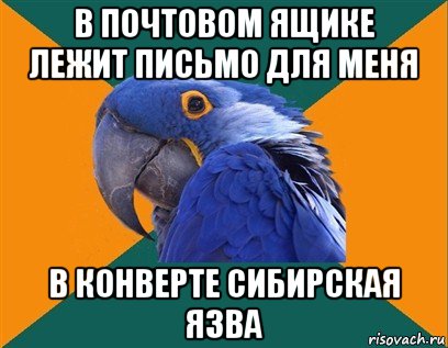 в почтовом ящике лежит письмо для меня в конверте сибирская язва, Мем Попугай параноик