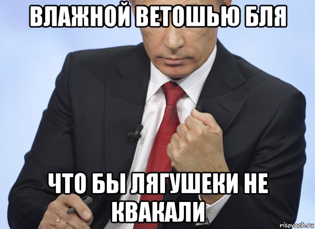 влажной ветошью бля что бы лягушеки не квакали, Мем Путин показывает кулак