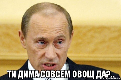  ти дима совсем овощ да?.., Мем путин