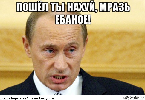 пошёл ты нахуй, мразь ебаное! , Мем  Путин