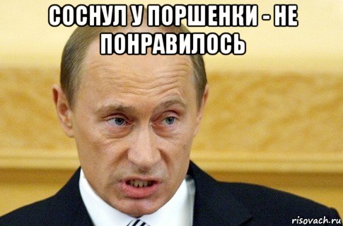 соснул у поршенки - не понравилось , Мем путин