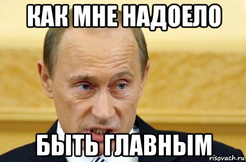 как мне надоело быть главным, Мем путин