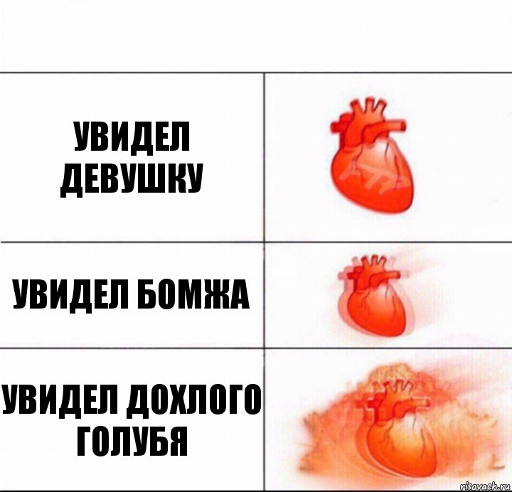 УВИДЕЛ ДЕВУШКУ УВИДЕЛ БОМЖА УВИДЕЛ ДОХЛОГО ГОЛУБЯ, Комикс  Расширяюшее сердце