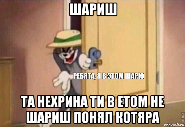 шариш та нехрина ти в етом не шариш понял котяра, Мем    Ребята я в этом шарю