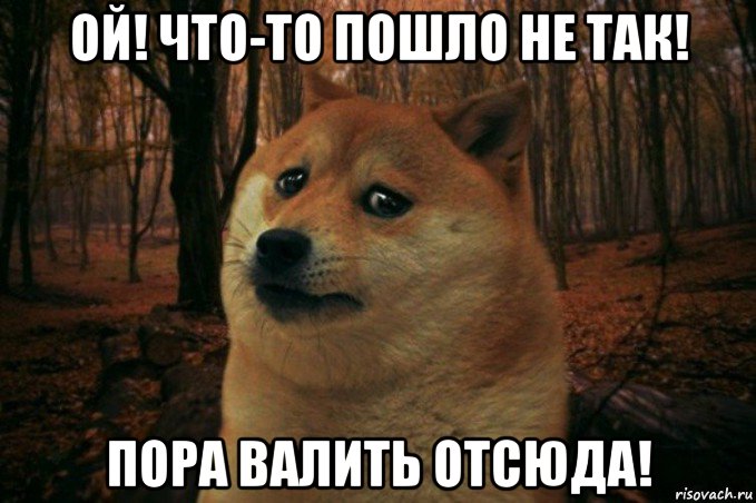 ой! что-то пошло не так! пора валить отсюда!, Мем SAD DOGE