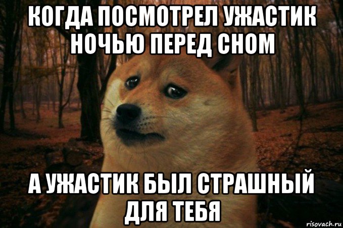 когда посмотрел ужастик ночью перед сном а ужастик был страшный для тебя