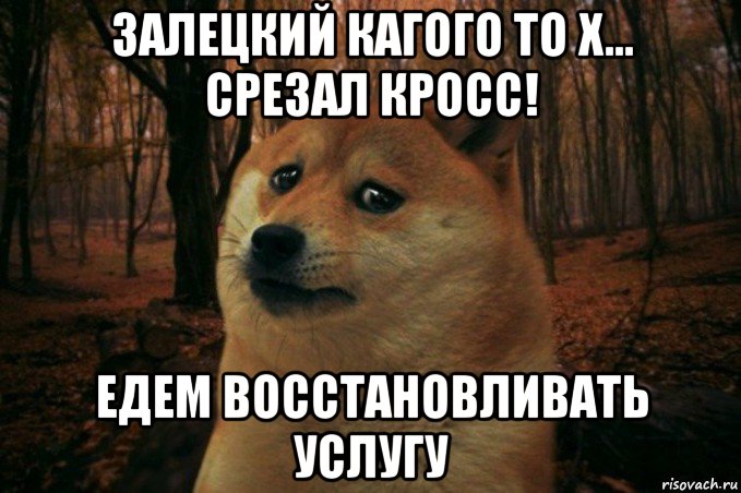 залецкий кагого то х... срезал кросс! едем восстановливать услугу, Мем SAD DOGE