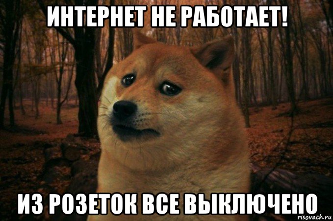 интернет не работает! из розеток все выключено, Мем SAD DOGE