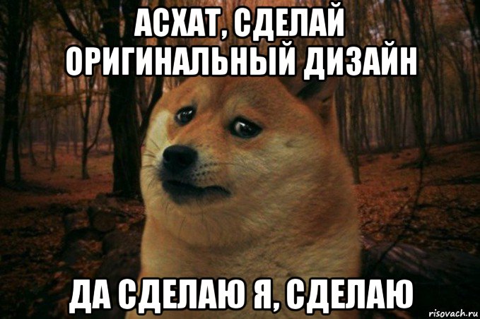 асхат, сделай оригинальный дизайн да сделаю я, сделаю, Мем SAD DOGE