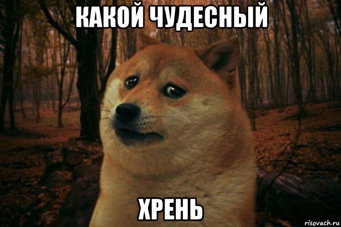 какой чудесный хрень, Мем SAD DOGE