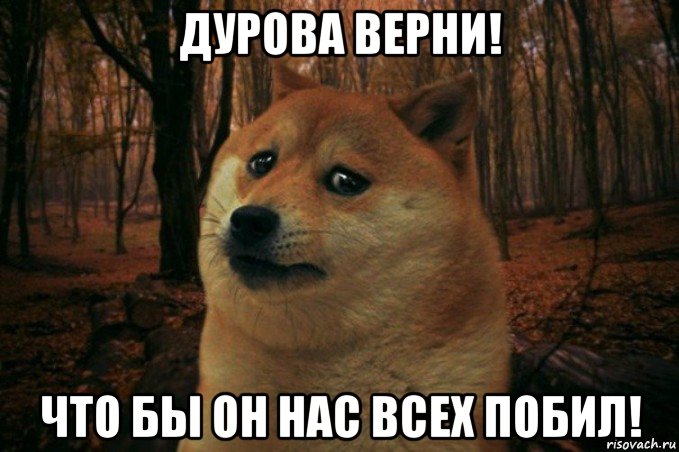 дурова верни! что бы он нас всех побил!, Мем SAD DOGE