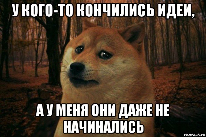 у кого-то кончились идеи, а у меня они даже не начинались, Мем SAD DOGE