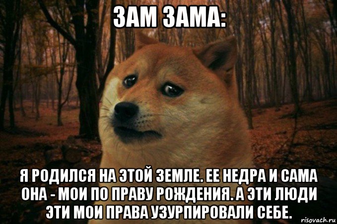 зам зама: я родился на этой земле. ее недра и сама она - мои по праву рождения. а эти люди эти мои права узурпировали себе., Мем SAD DOGE