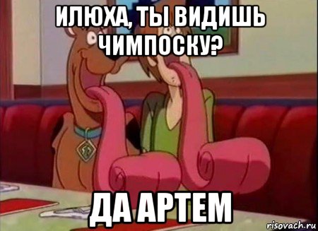 илюха, ты видишь чимпоску? да артем