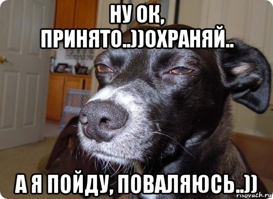 ну ок, принято..))охраняй.. а я пойду, поваляюсь..))