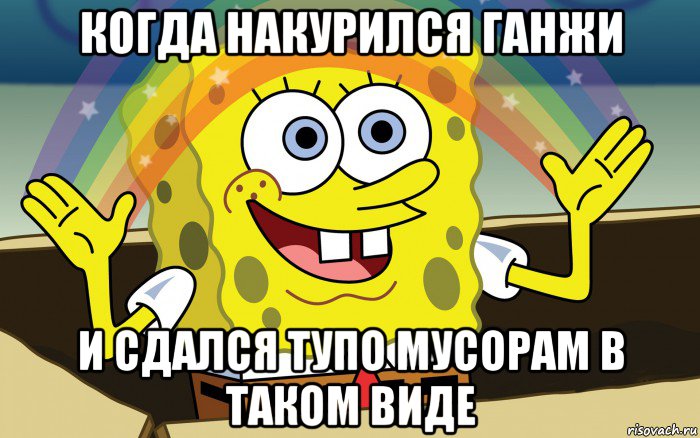 когда накурился ганжи и сдался тупо мусорам в таком виде, Мем Спанч Боб радуга