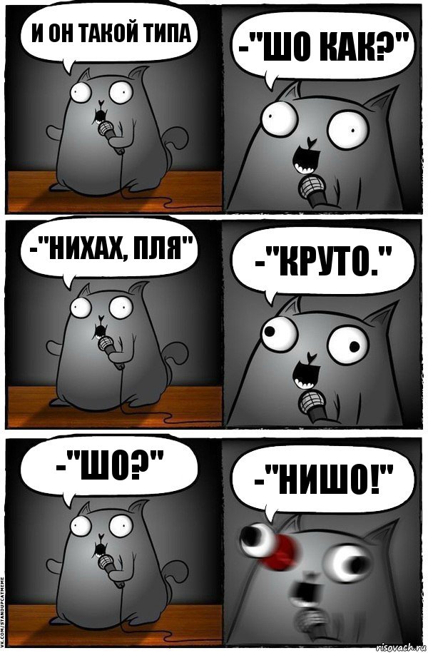 И он такой типа -"шо как?" -"нихах, пля" -"круто." -"шо?" -"нишо!", Комикс  Стендап-кот