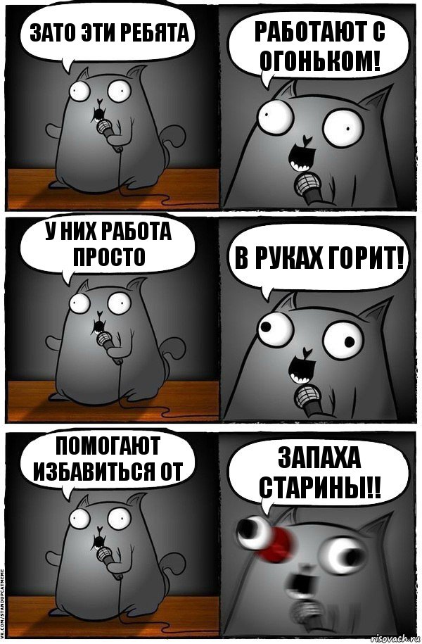 Зато эти ребята работают с огоньком! У них работа просто в руках горит! Помогают избавиться от запаха старины!!, Комикс  Стендап-кот