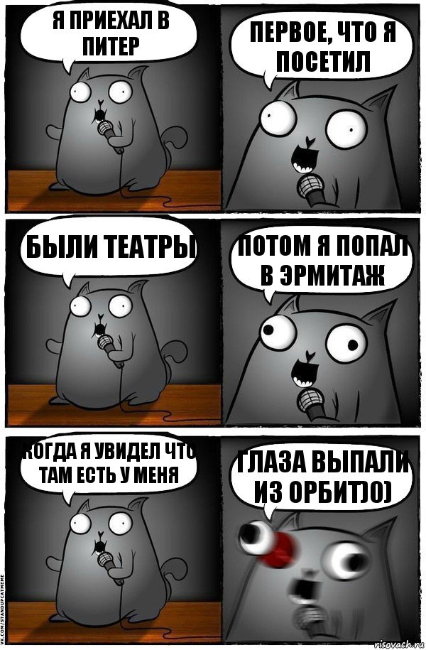 я приехал в питер первое, что я посетил были театры потом я попал в эрмитаж когда я увидел что там есть у меня глаза выпали из орбит)0), Комикс  Стендап-кот