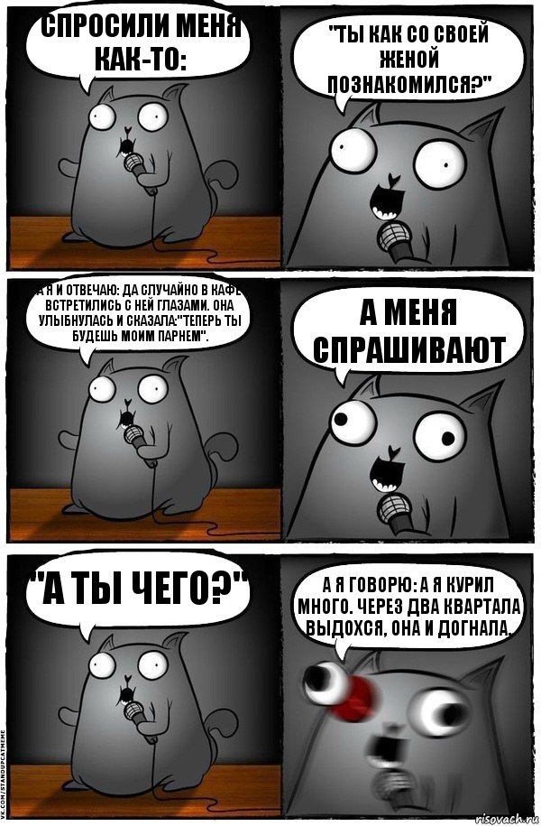 Спросили меня как-то: "Ты как со своей женой познакомился?" А я и отвечаю: Да случайно в кафе встретились с ней глазами. Она улыбнулась и сказала:"Теперь ты будешь моим парнем". А меня спрашивают "А ты чего?" А я говорю: А я курил много. Через два квартала выдохся, она и догнала., Комикс  Стендап-кот